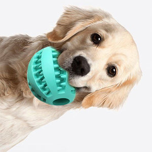 GD™ - Brain Teaser Ball for Dogs