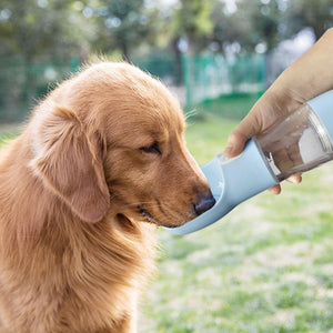 50% OFF Ends Today ⏰ ! ReFresh™ Portable Dog Bottle 🐶💦 Free Express Shipping