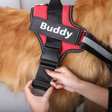 Load image into Gallery viewer, 50% OFF Ends Today ⏰ ! LeashWalk™ NO Choke Dog Harness with Customized Name Tag 🐕
